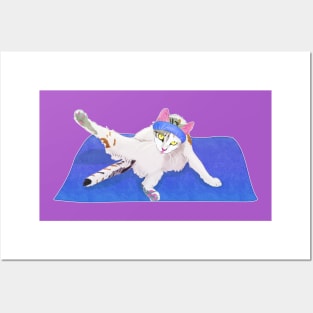 Yoga cat Posters and Art